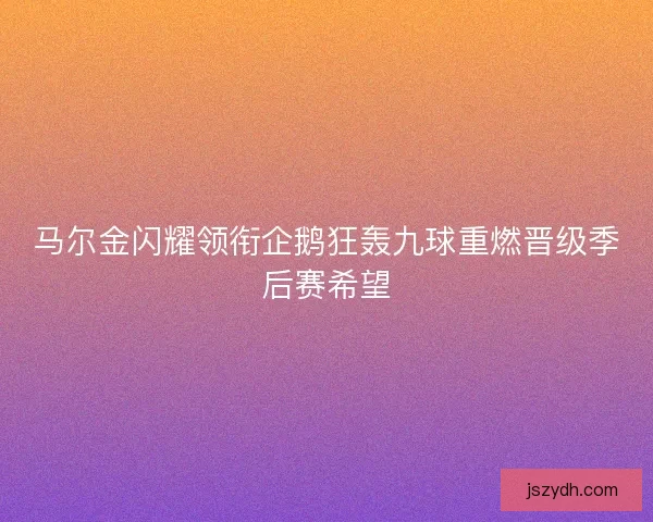 马尔金闪耀领衔企鹅狂轰九球重燃晋级季后赛希望 马尔金闪耀领衔企鹅狂轰九球重燃晋级季后赛希望